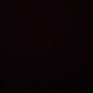 Meet your Posher, Lola